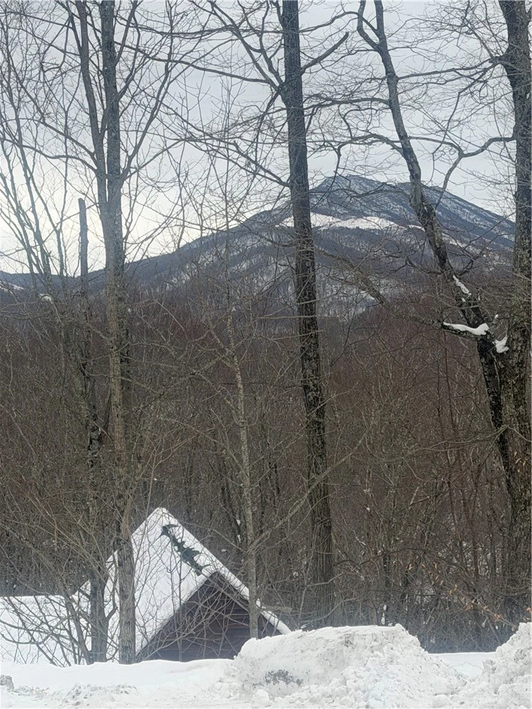 Image number 6 for the current listing