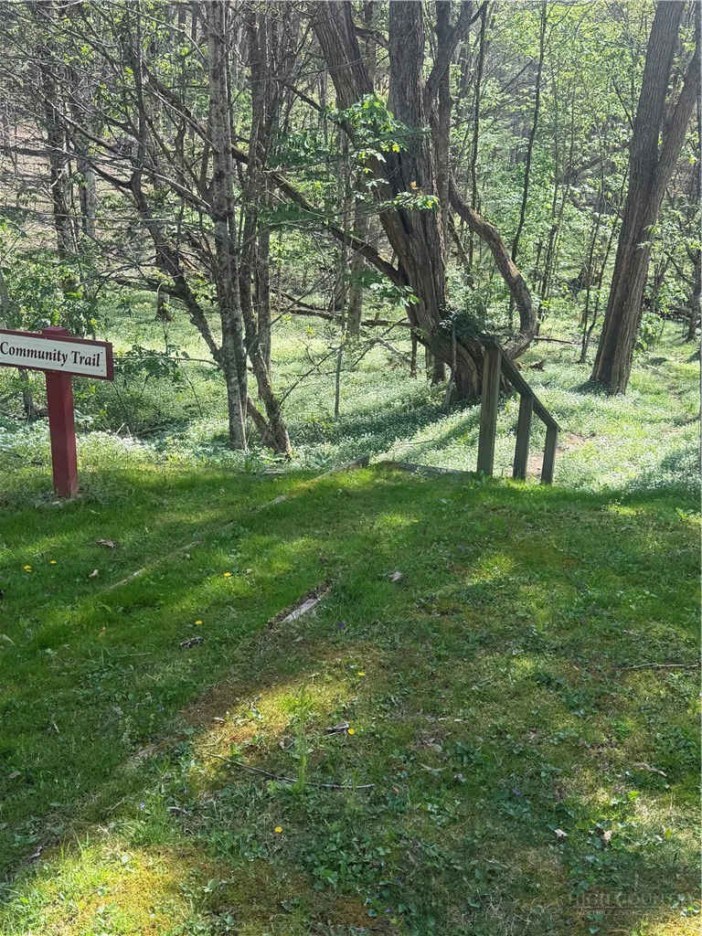 Image number 4 for the current listing