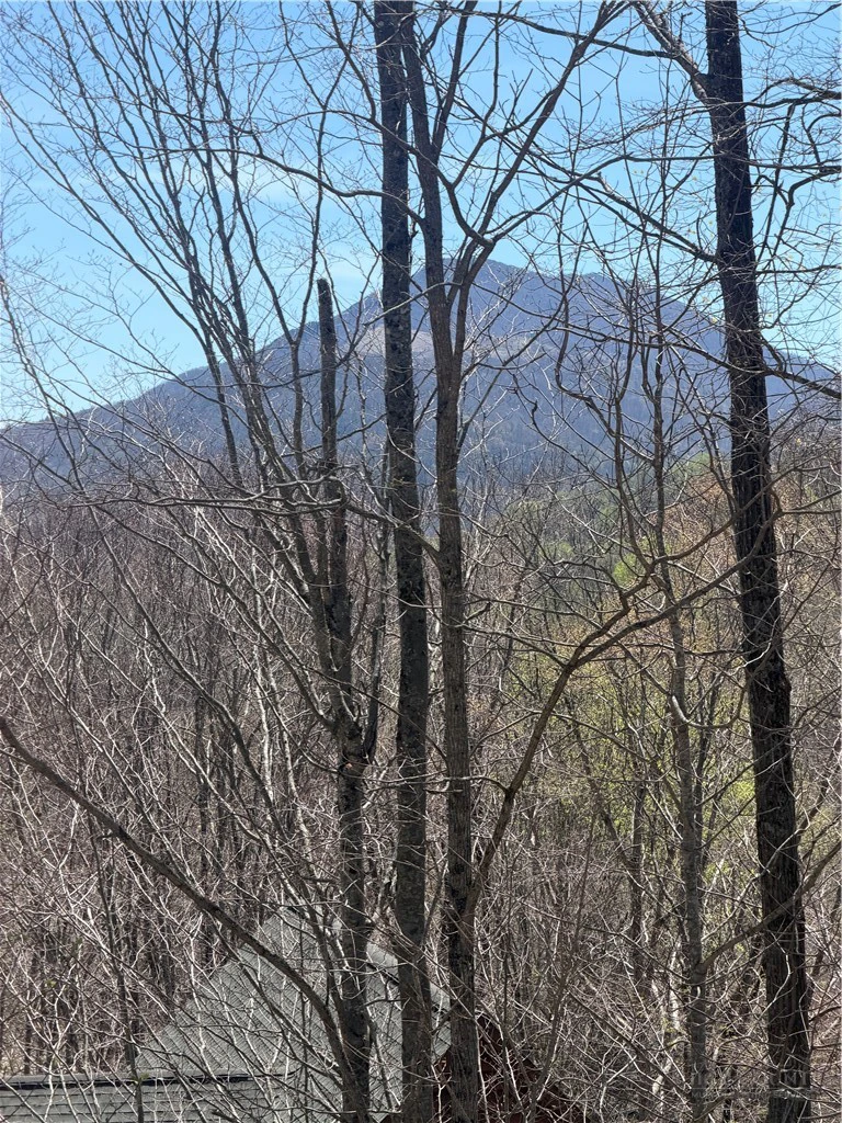 Image number 3 for the current listing