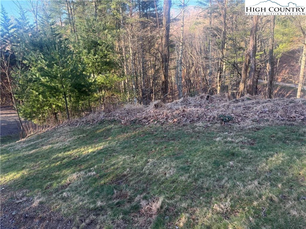 Image number 1 for the current listing