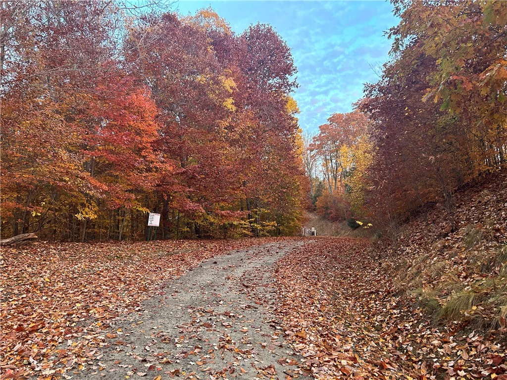 Image number 13 for the current listing