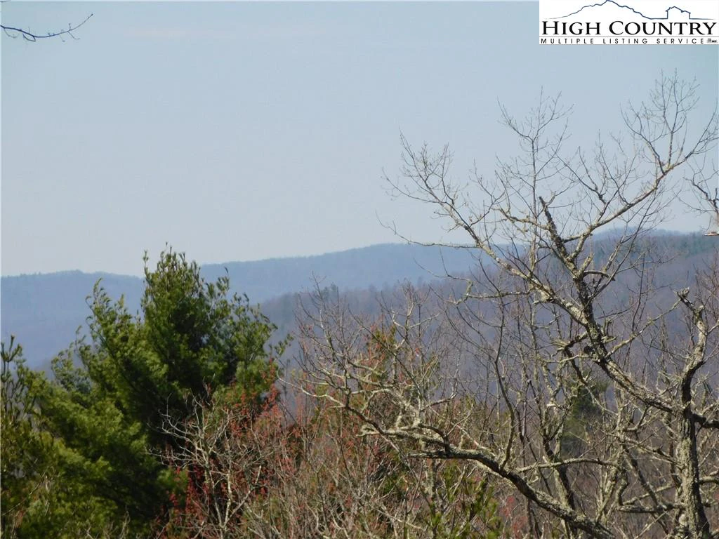 Image number 4 for the current listing