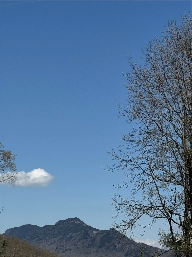 Image number 1 for the current listing