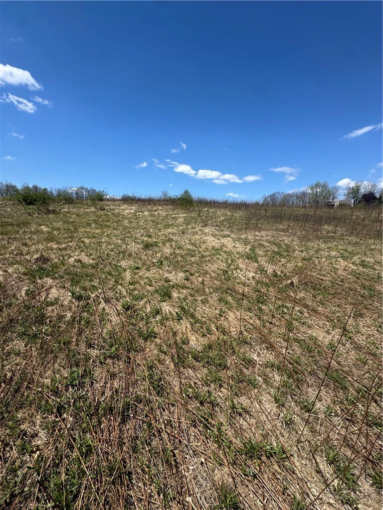 Image number 3 for the current listing