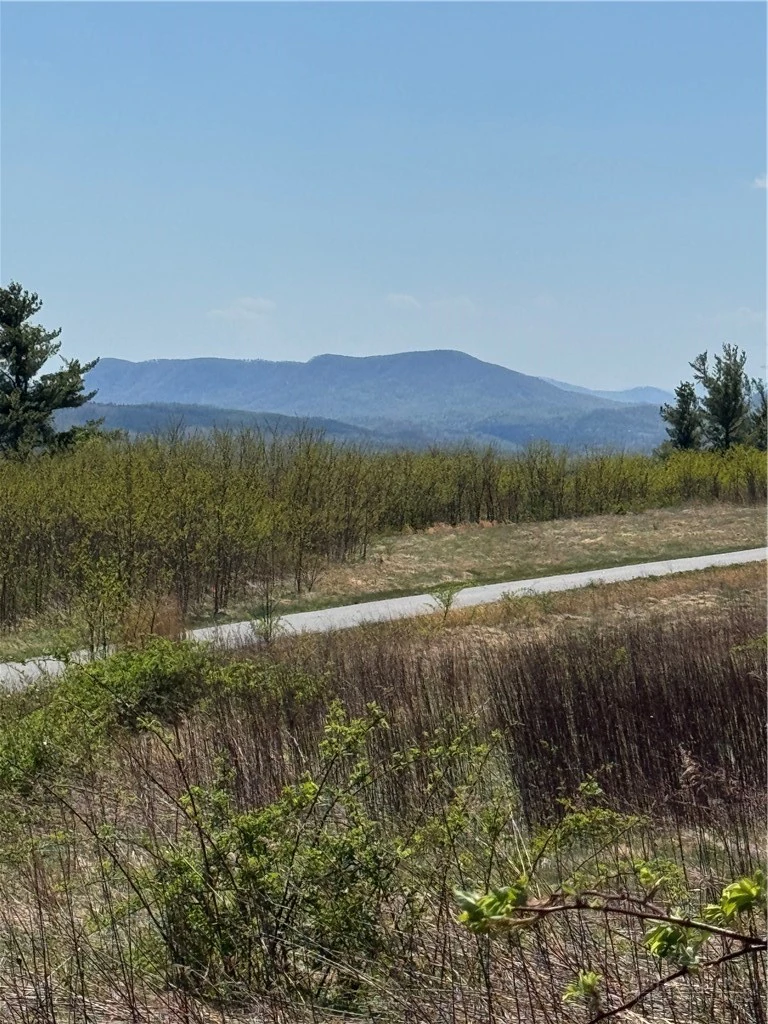 Image number 5 for the current listing