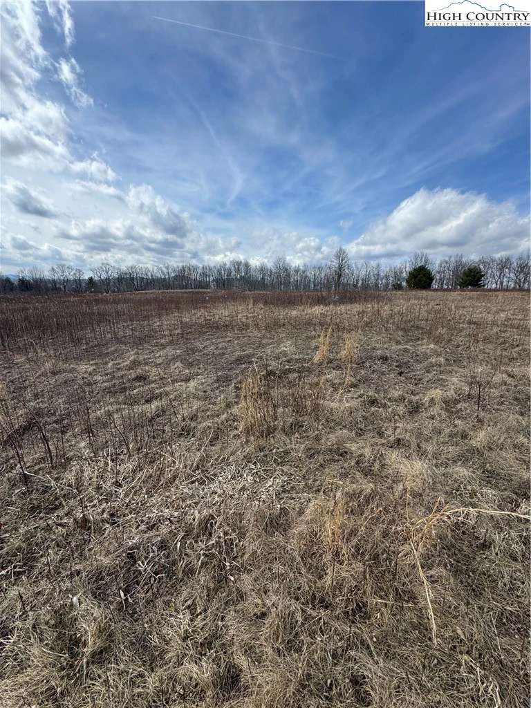 Image number 3 for the current listing