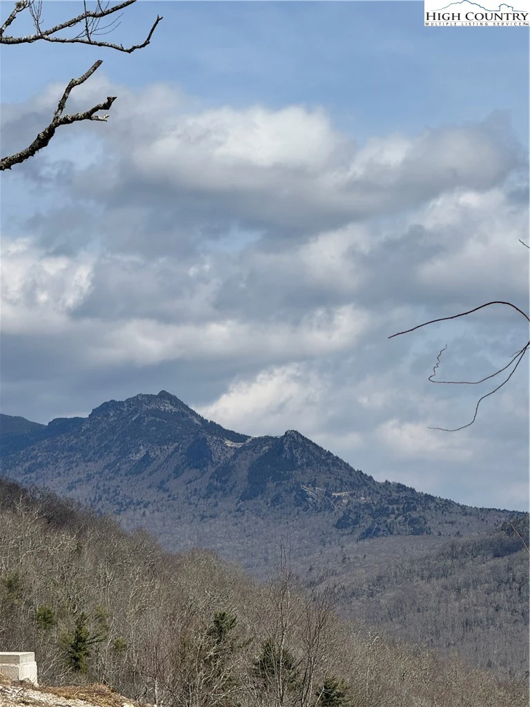 Image number 8 for the current listing