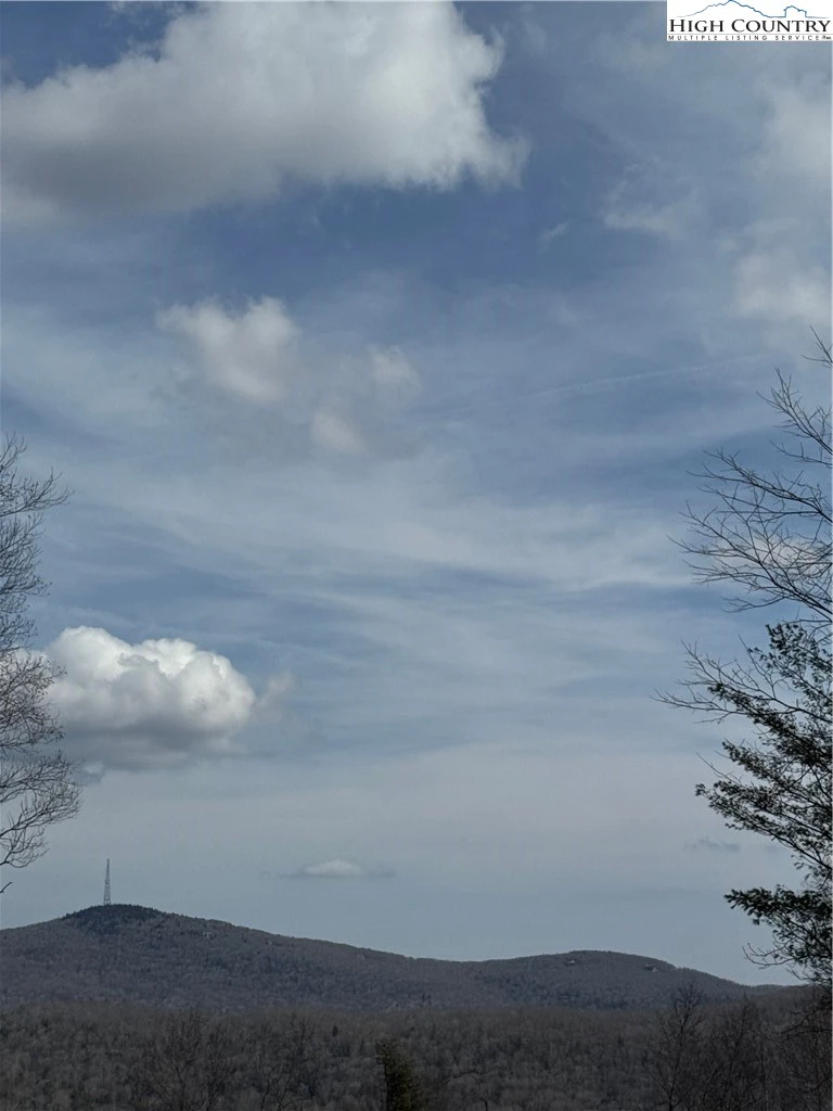 Image number 9 for the current listing
