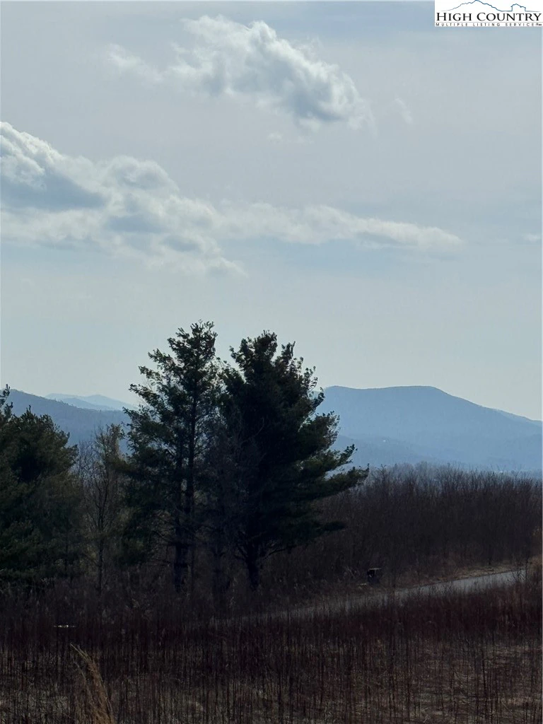 Image number 10 for the current listing