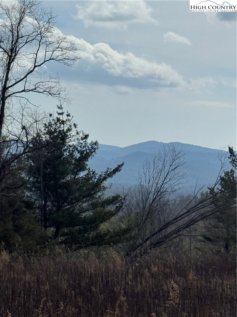 Image number 11 for the current listing