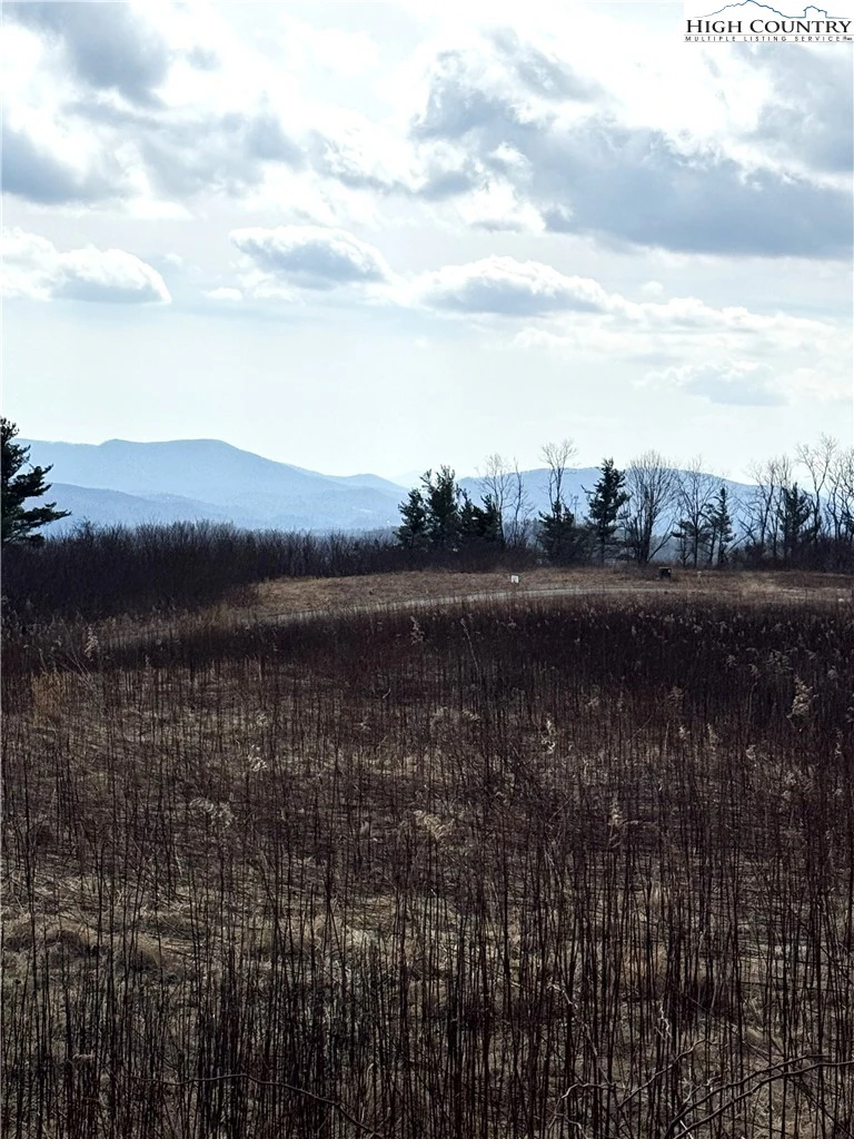 Image number 1 for the current listing