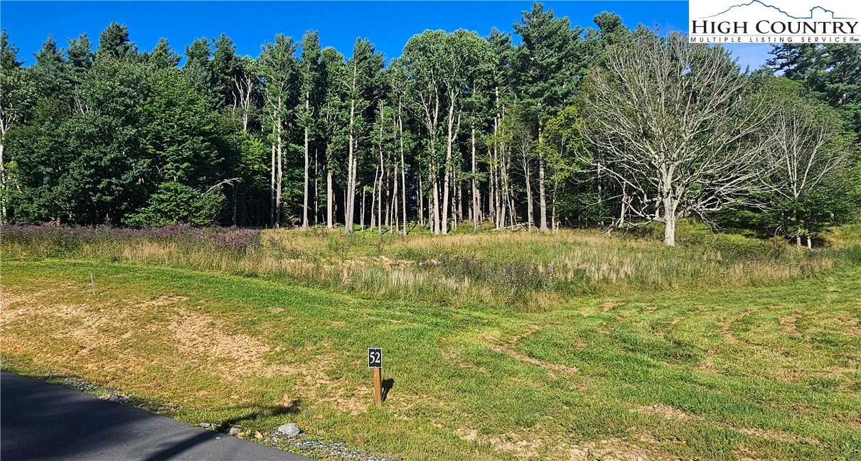 Image number 5 for the current listing