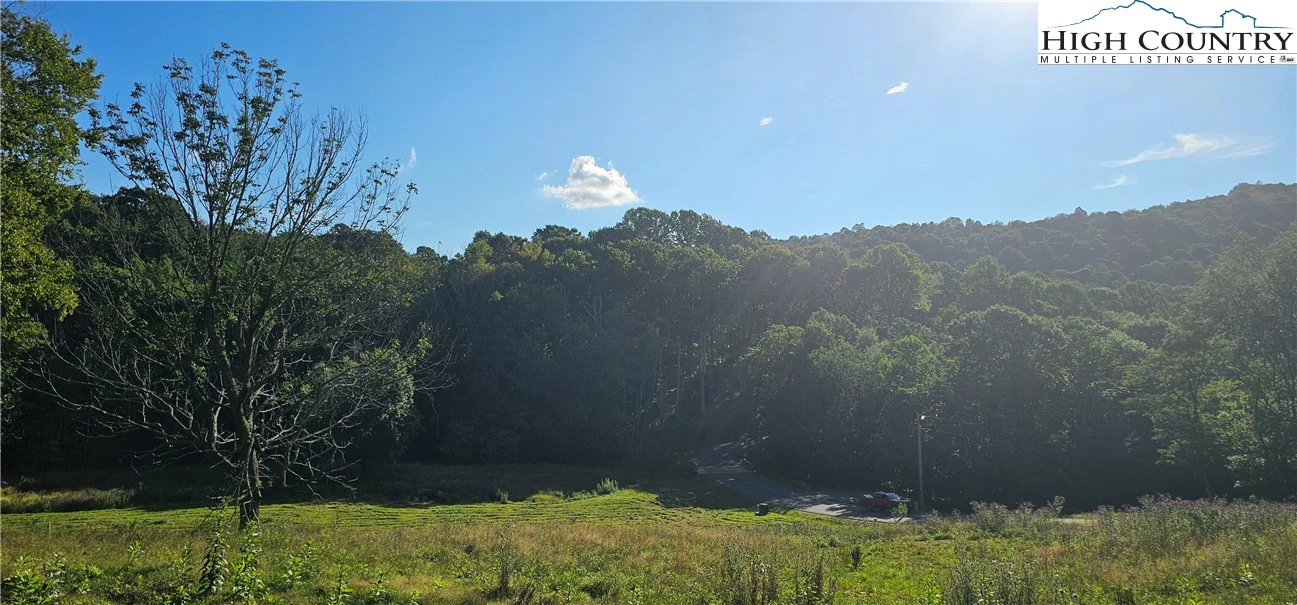 Image number 3 for the current listing