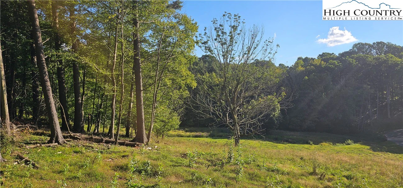 Image number 1 for the current listing