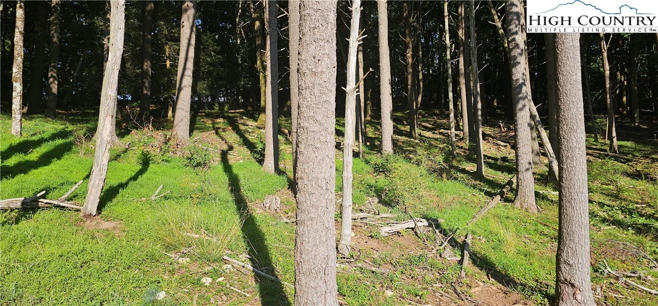 Image number 6 for the current listing