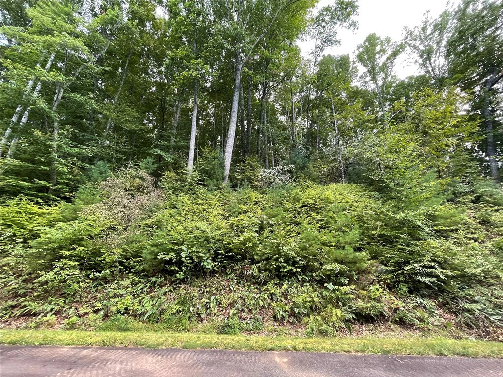 Image number 6 for the current listing