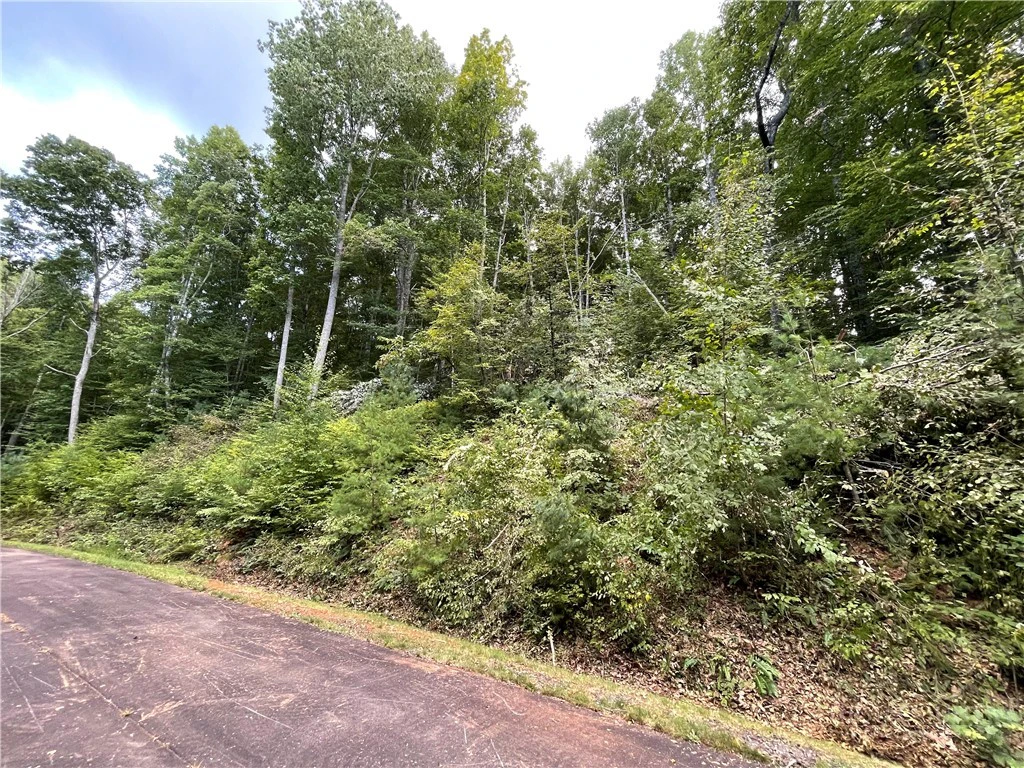 Image number 7 for the current listing