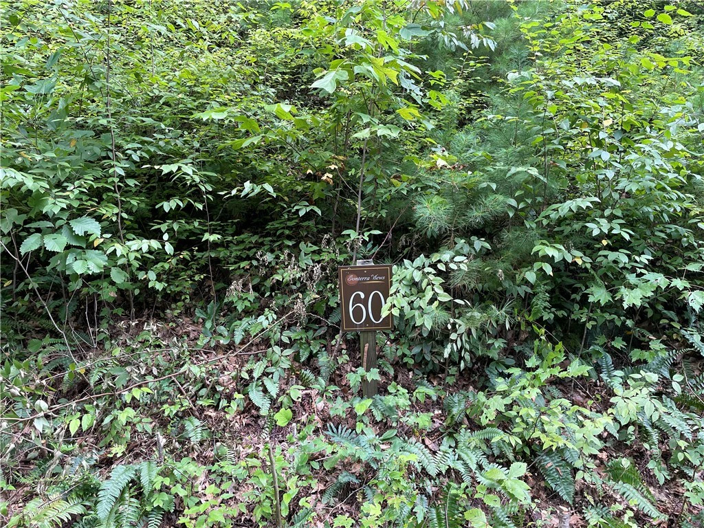 Image number 9 for the current listing