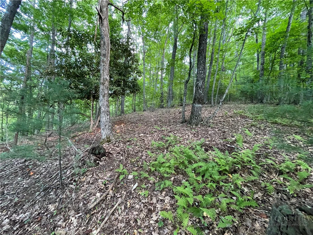 Image number 16 for the current listing