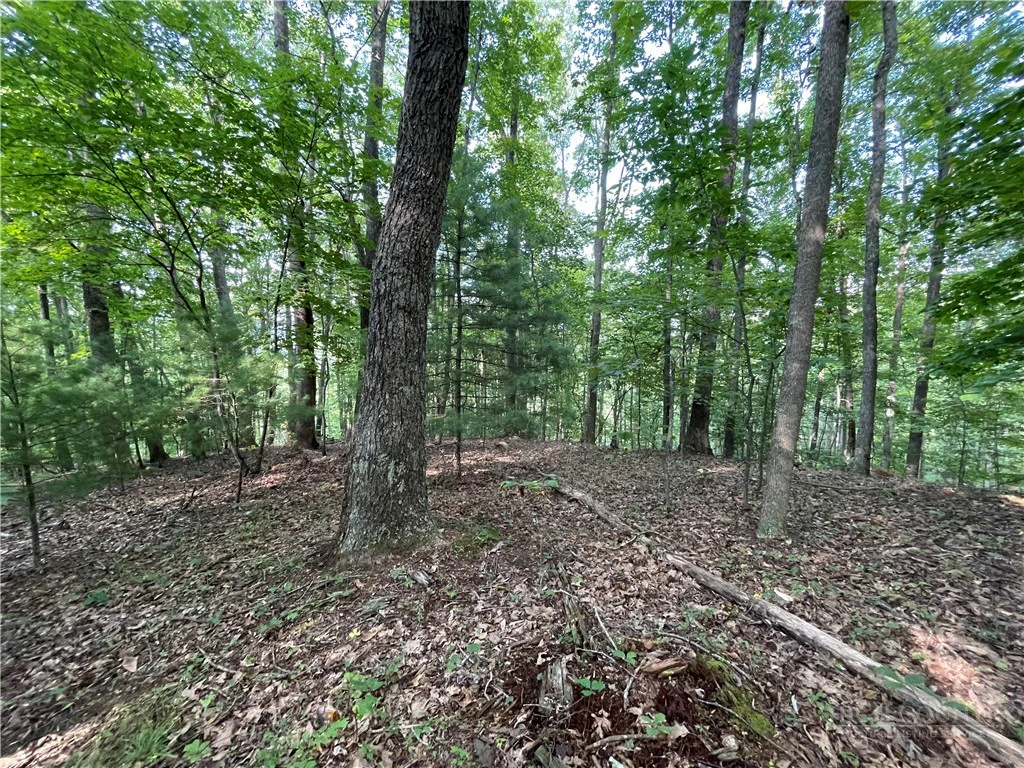 Image number 18 for the current listing