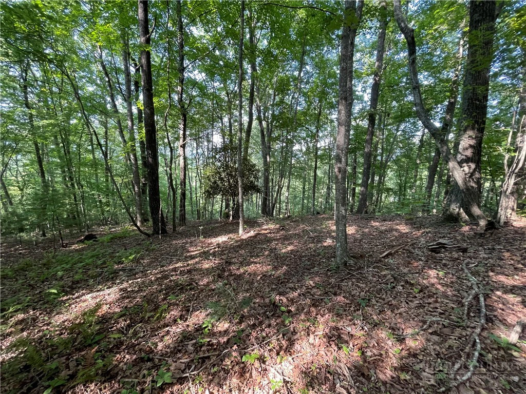 Image number 19 for the current listing