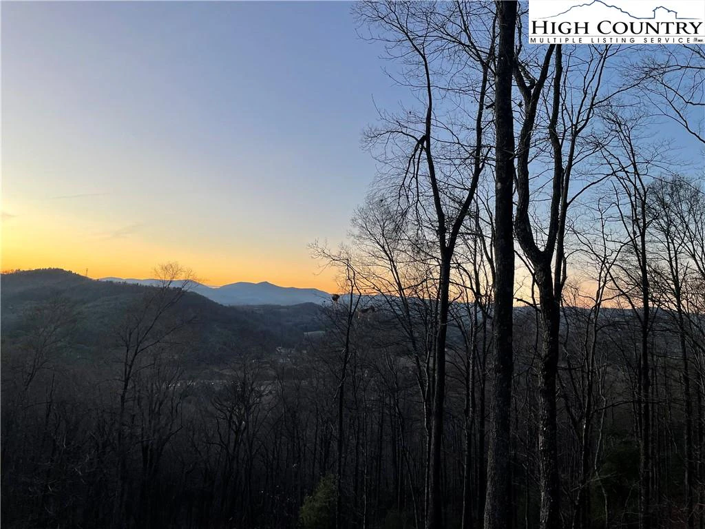 Image number 1 for the current listing