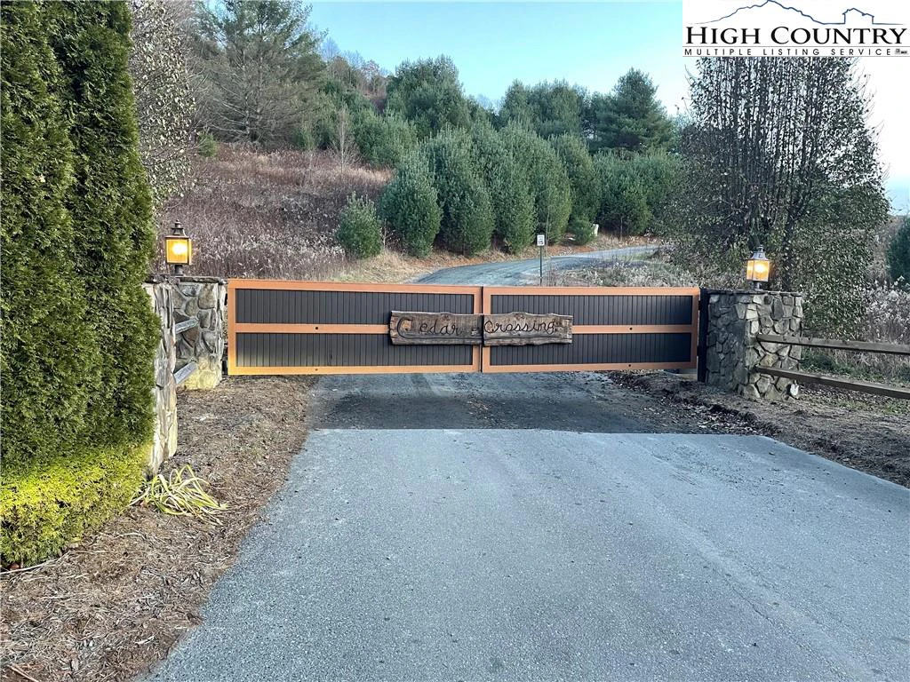 Image number 4 for the current listing