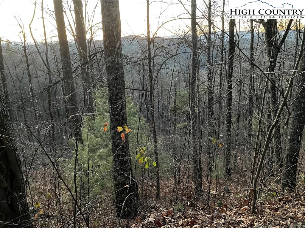 Image number 5 for the current listing