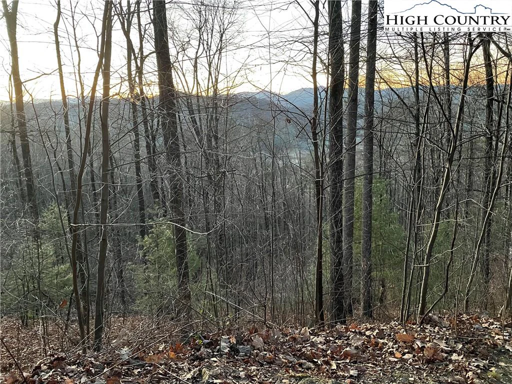 Image number 6 for the current listing