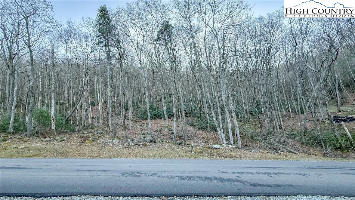 Image number 1 for the current listing