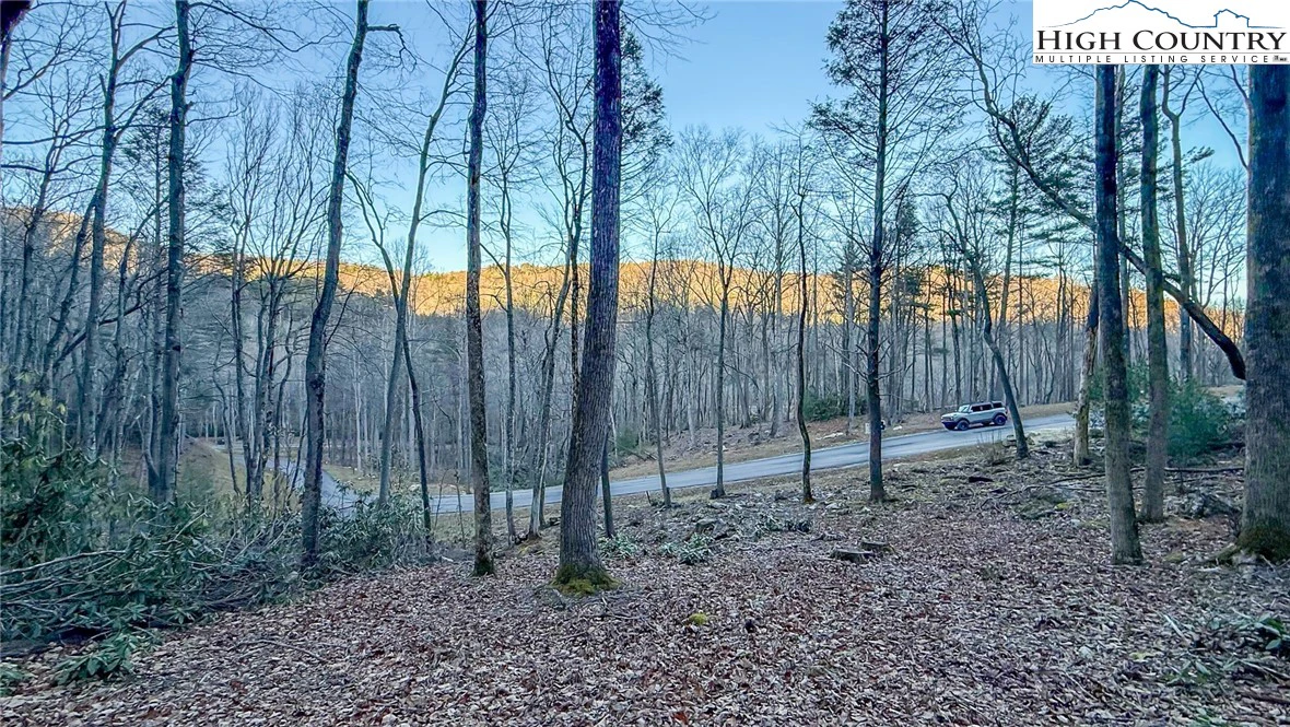Image number 3 for the current listing
