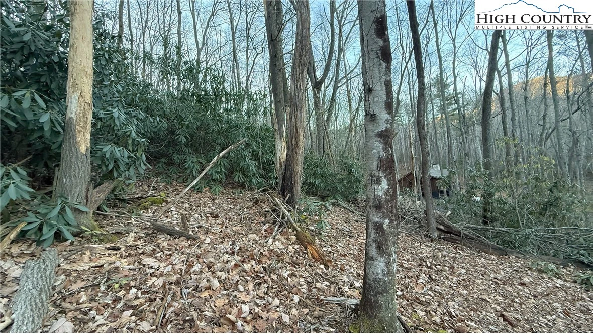 Image number 5 for the current listing