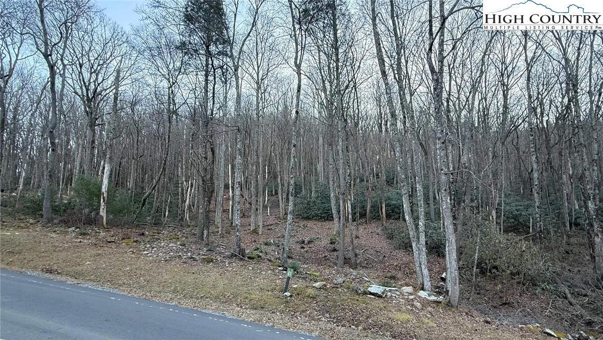Image number 6 for the current listing