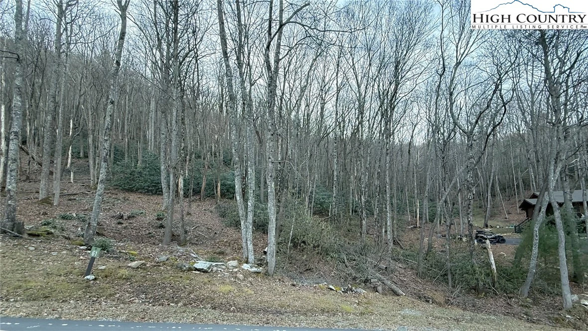 Image number 7 for the current listing