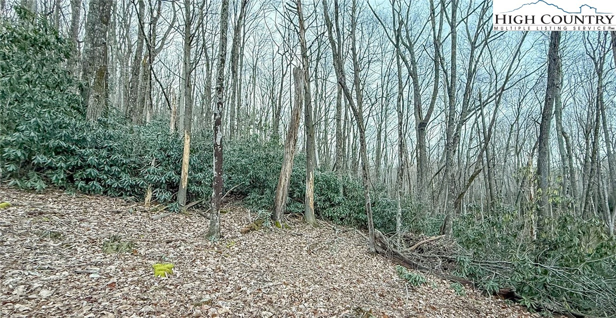 Image number 8 for the current listing