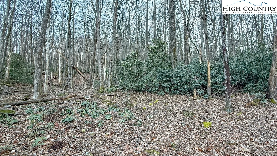Image number 9 for the current listing