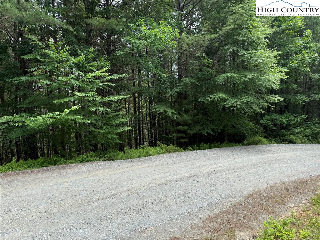 Image number 1 for the current listing