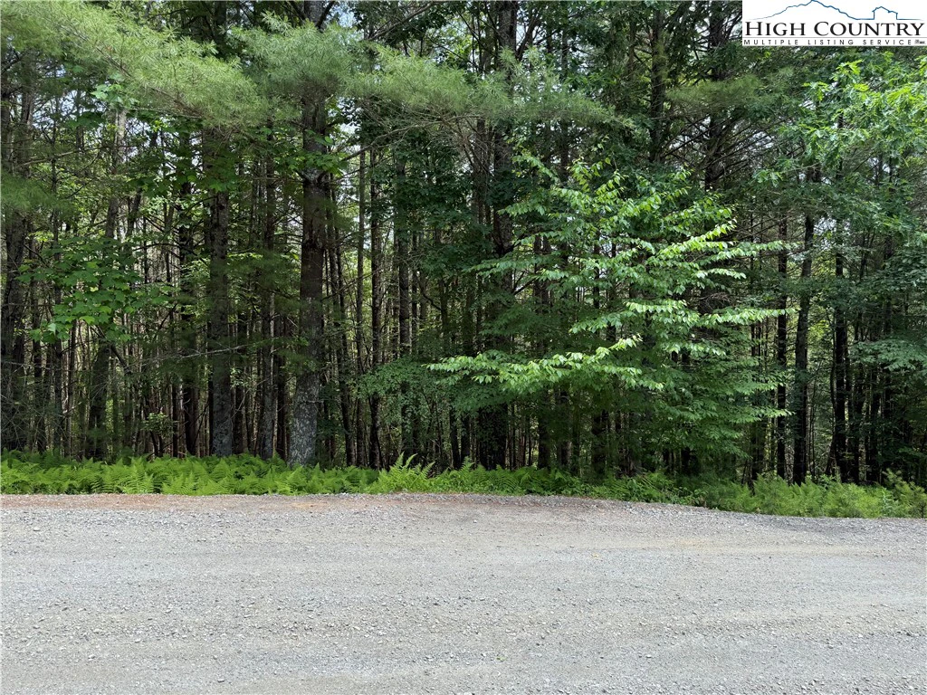 Image number 16 for the current listing