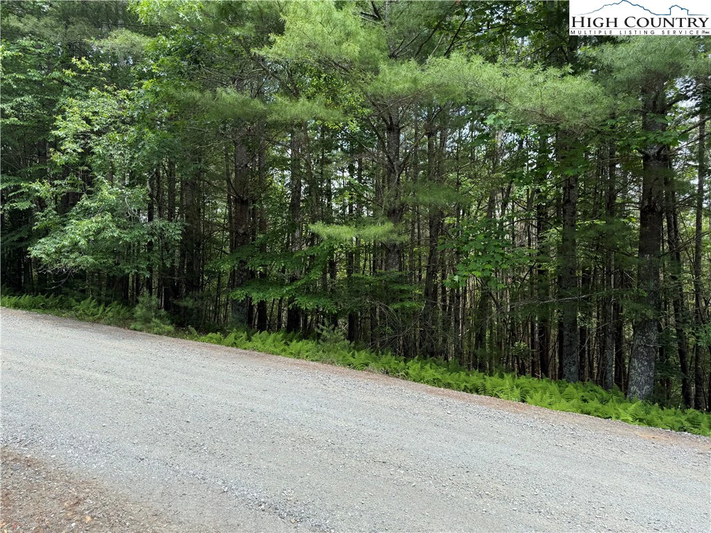Image number 15 for the current listing
