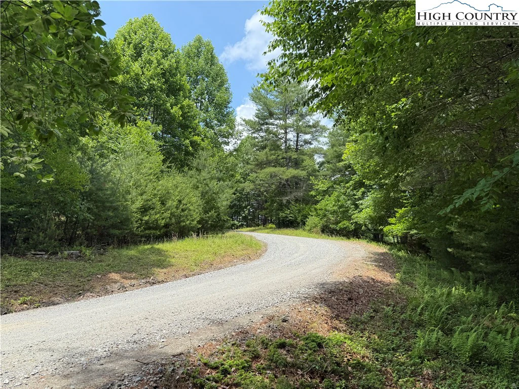 Image number 14 for the current listing