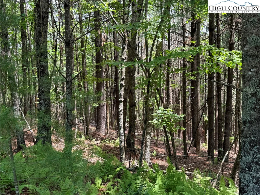 Image number 2 for the current listing
