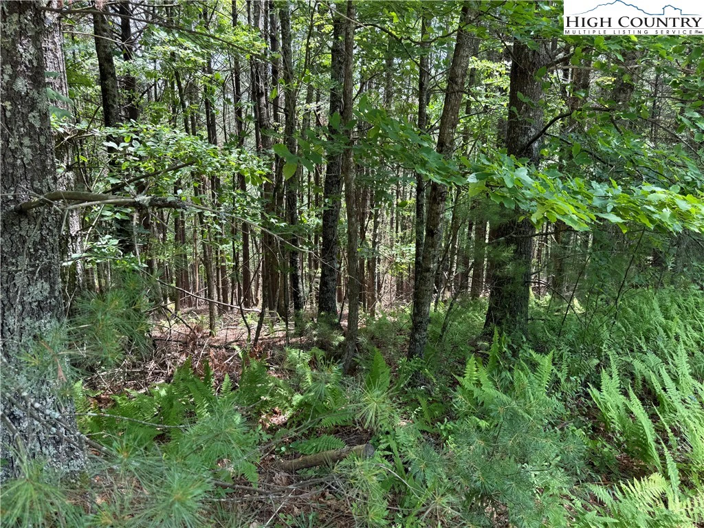 Image number 9 for the current listing