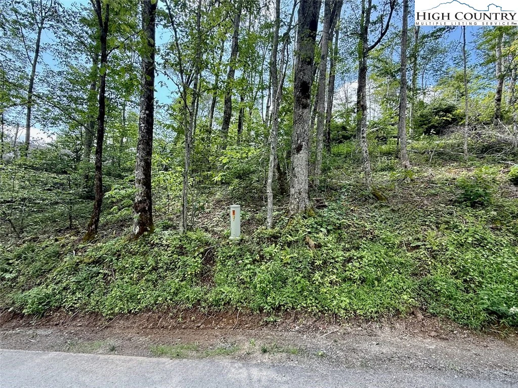 Image number 14 for the current listing