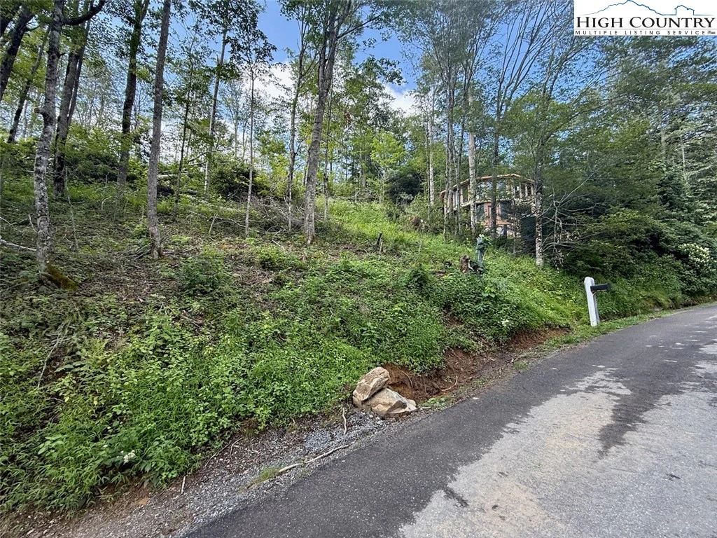 Image number 11 for the current listing