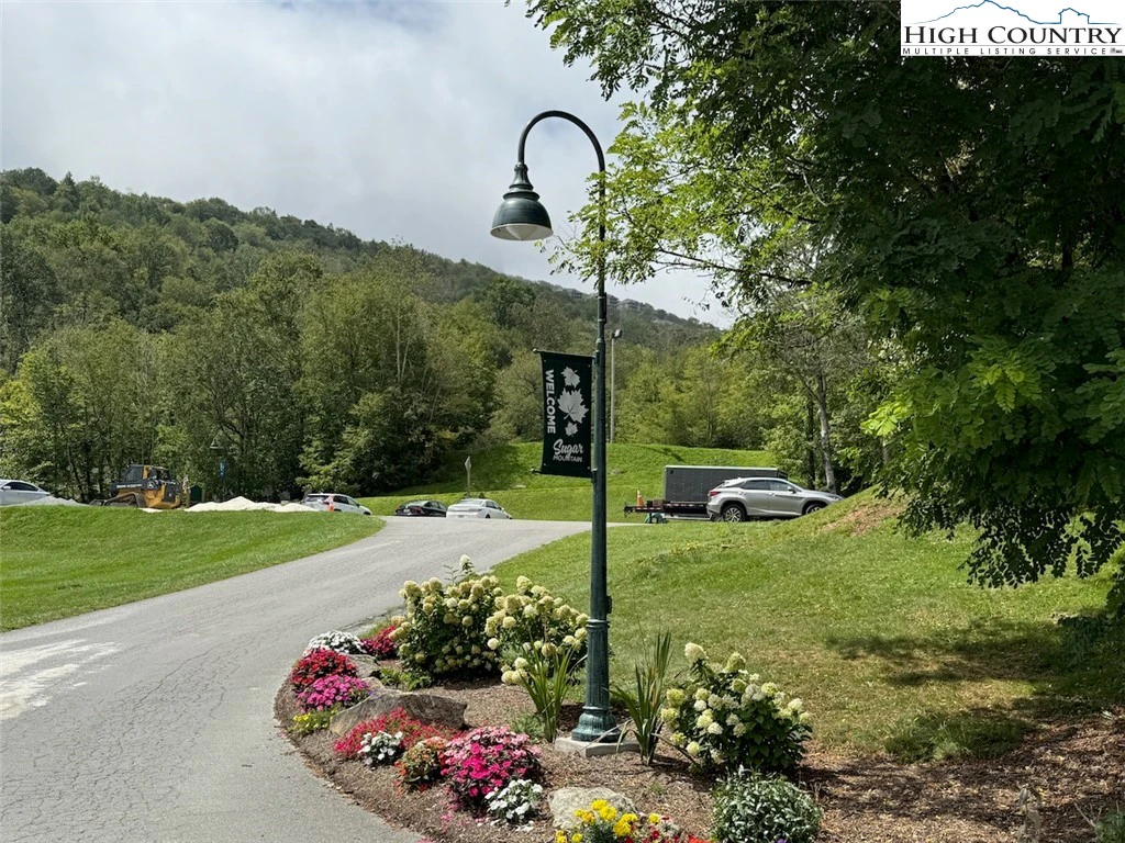 Image number 1 for the current listing