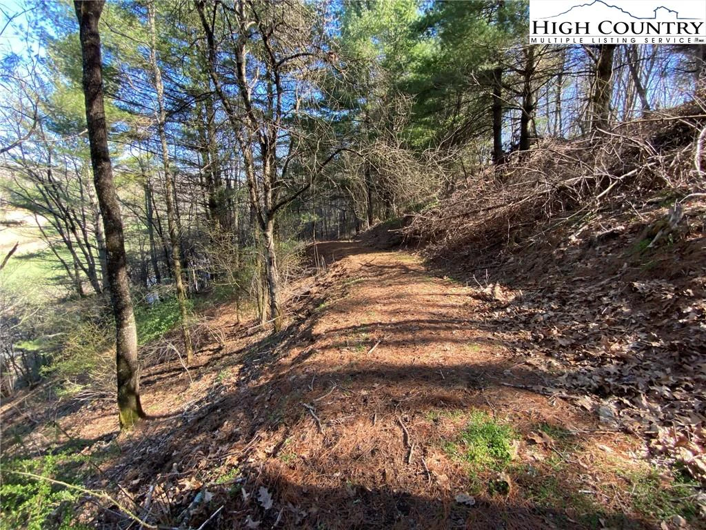 Image number 14 for the current listing