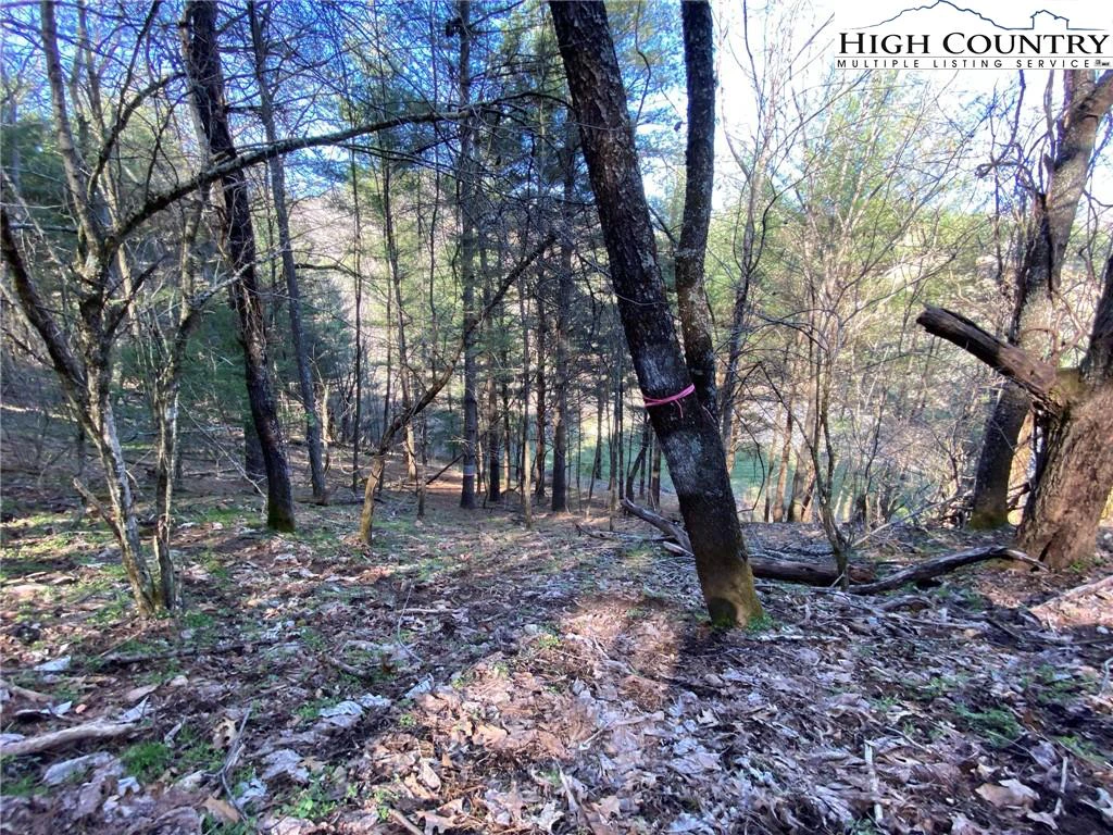 Image number 2 for the current listing