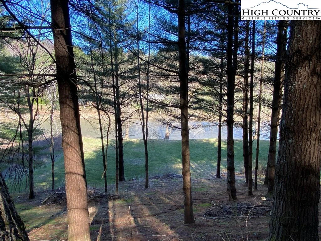 Image number 13 for the current listing