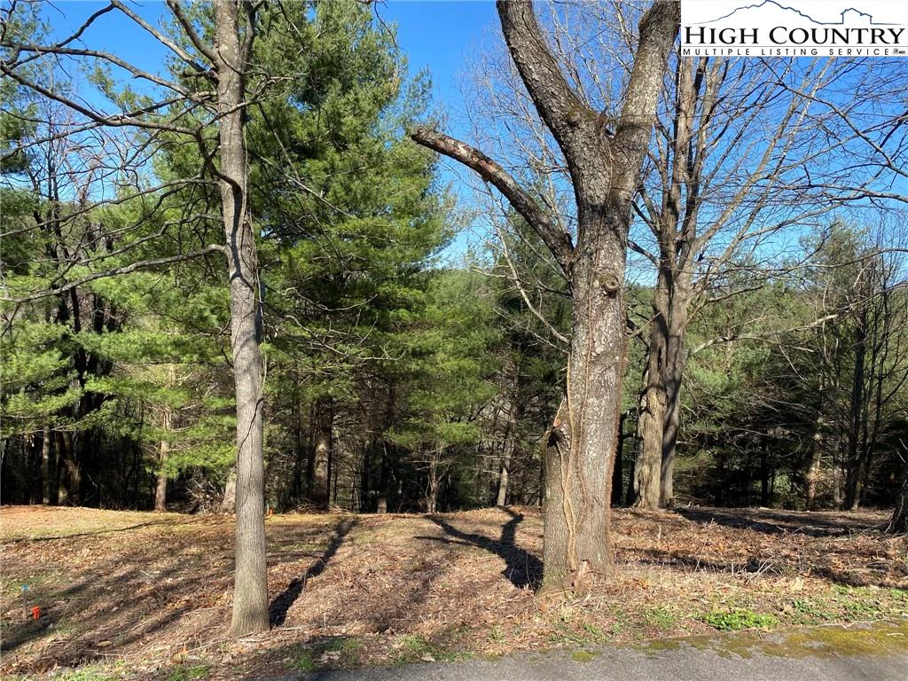 Image number 20 for the current listing