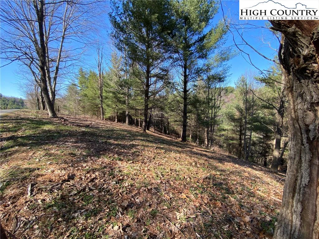 Image number 17 for the current listing